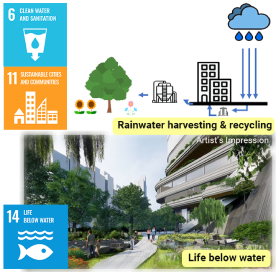 Knowledge Corner_Sustainable Development Goal_Rainwater harvesting and recycling, life below water