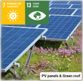 Knowledge Corner_Sustainable Development Goals_PV panels & Green roof