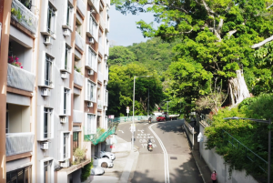 Find out what Pokfield Campus means to the community nearby. 了解蒲飛路校園與附近社區的關係。