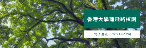header of eNewsletter (Chinese version)